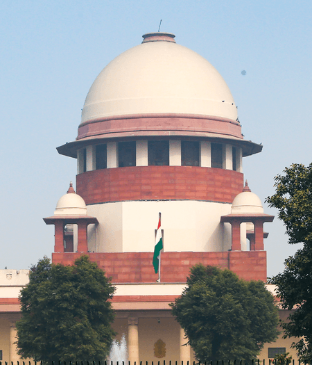 SC concerned over stray dog menace, says lives being lost due to inaction on ABC rules